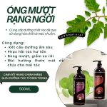 Dầu gội  Arganoil BERDYWINS - 500ml - Image 3